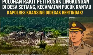 InCollage_20251029_195327314