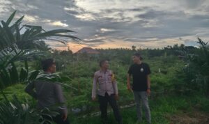 IMG-20260611-WA0058